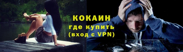 тгк Алзамай