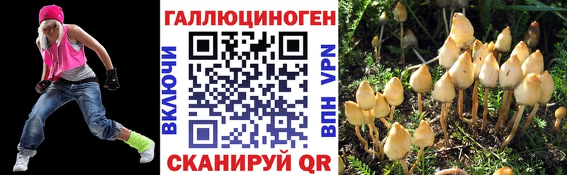 Псилоцибиновые грибы мухоморы  закладки  мориарти клад  Жуков 
